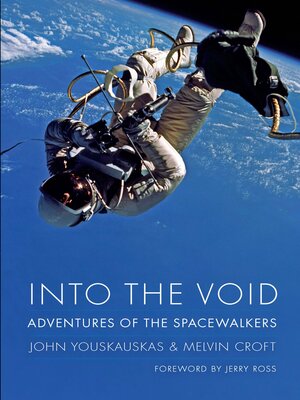 cover image of Into the Void
